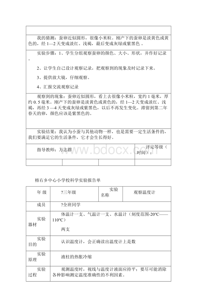 教科版科学三年级下册实验报告单Word文档下载推荐.docx_第2页