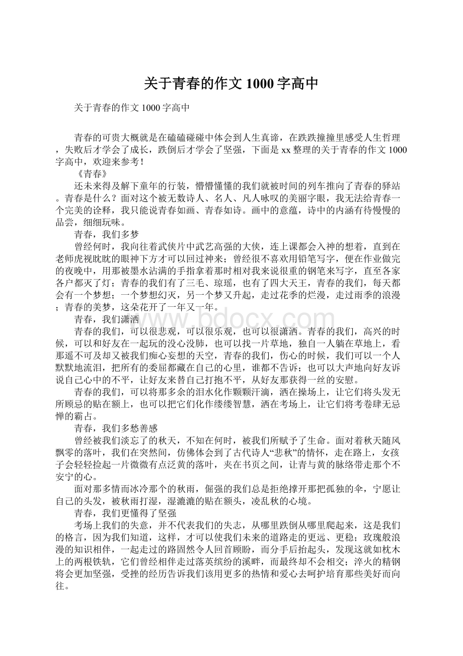 关于青春的作文1000字高中.docx