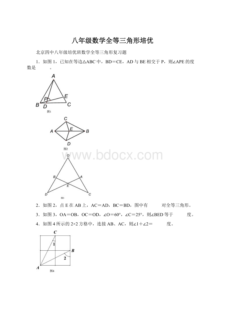 八年级数学全等三角形培优.docx_第1页