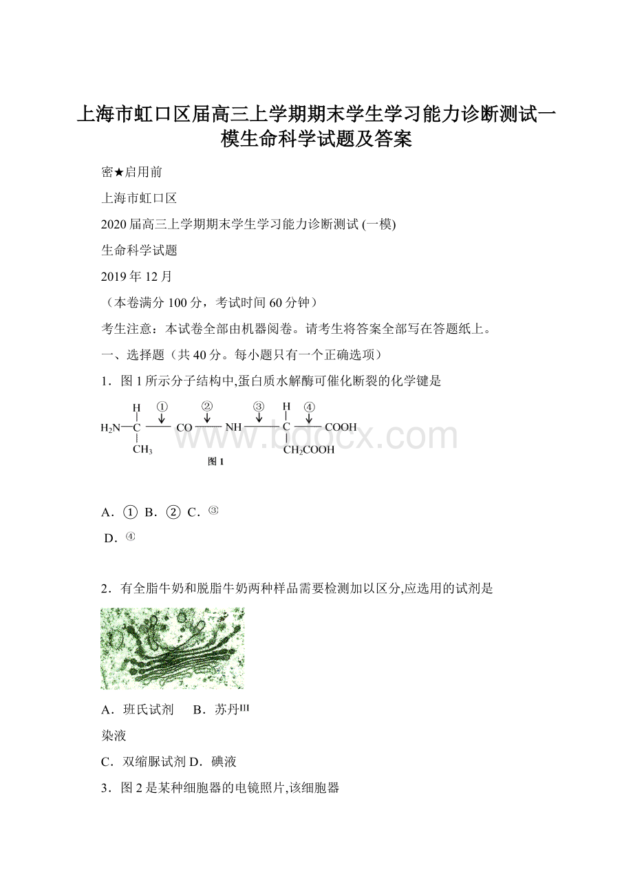 上海市虹口区届高三上学期期末学生学习能力诊断测试一模生命科学试题及答案.docx_第1页