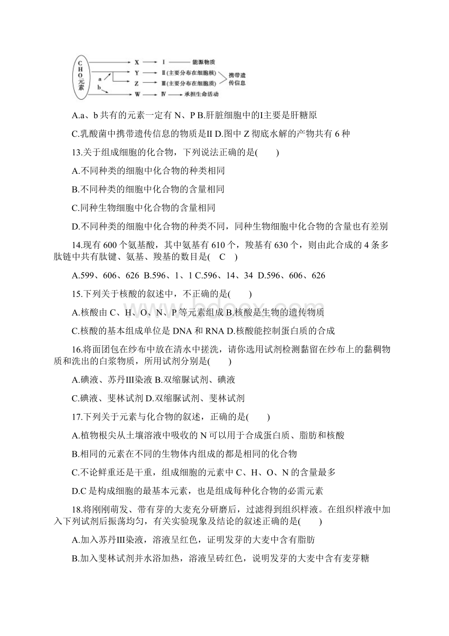 组成细胞的分子.docx_第3页