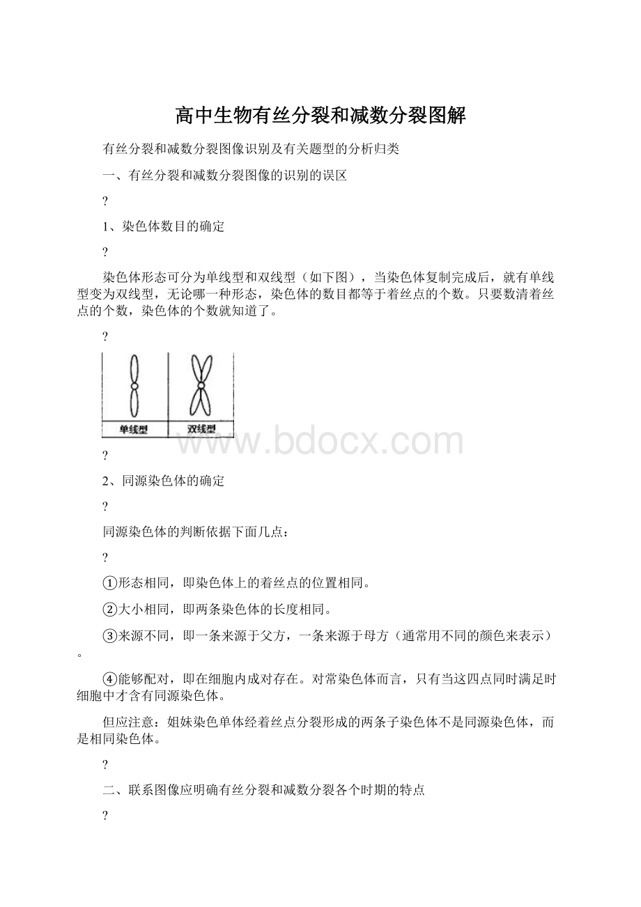 高中生物有丝分裂和减数分裂图解Word文档格式.docx