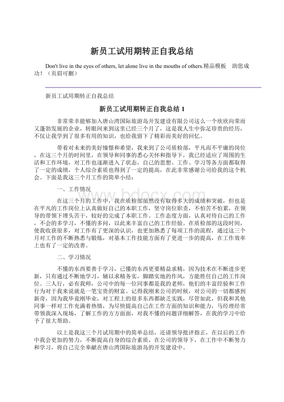 新员工试用期转正自我总结文档格式.docx