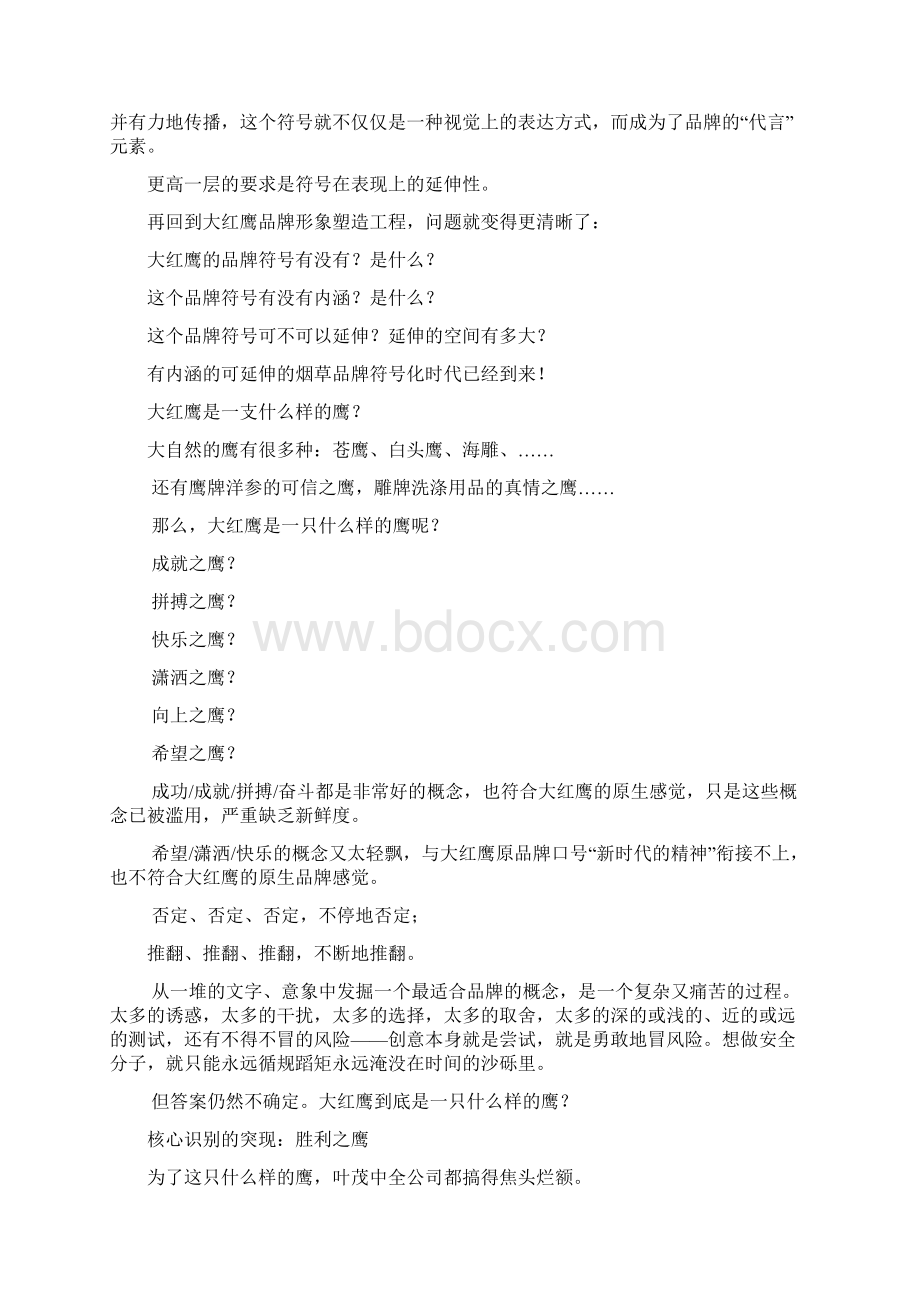 大红鹰品牌营销策划.docx_第3页