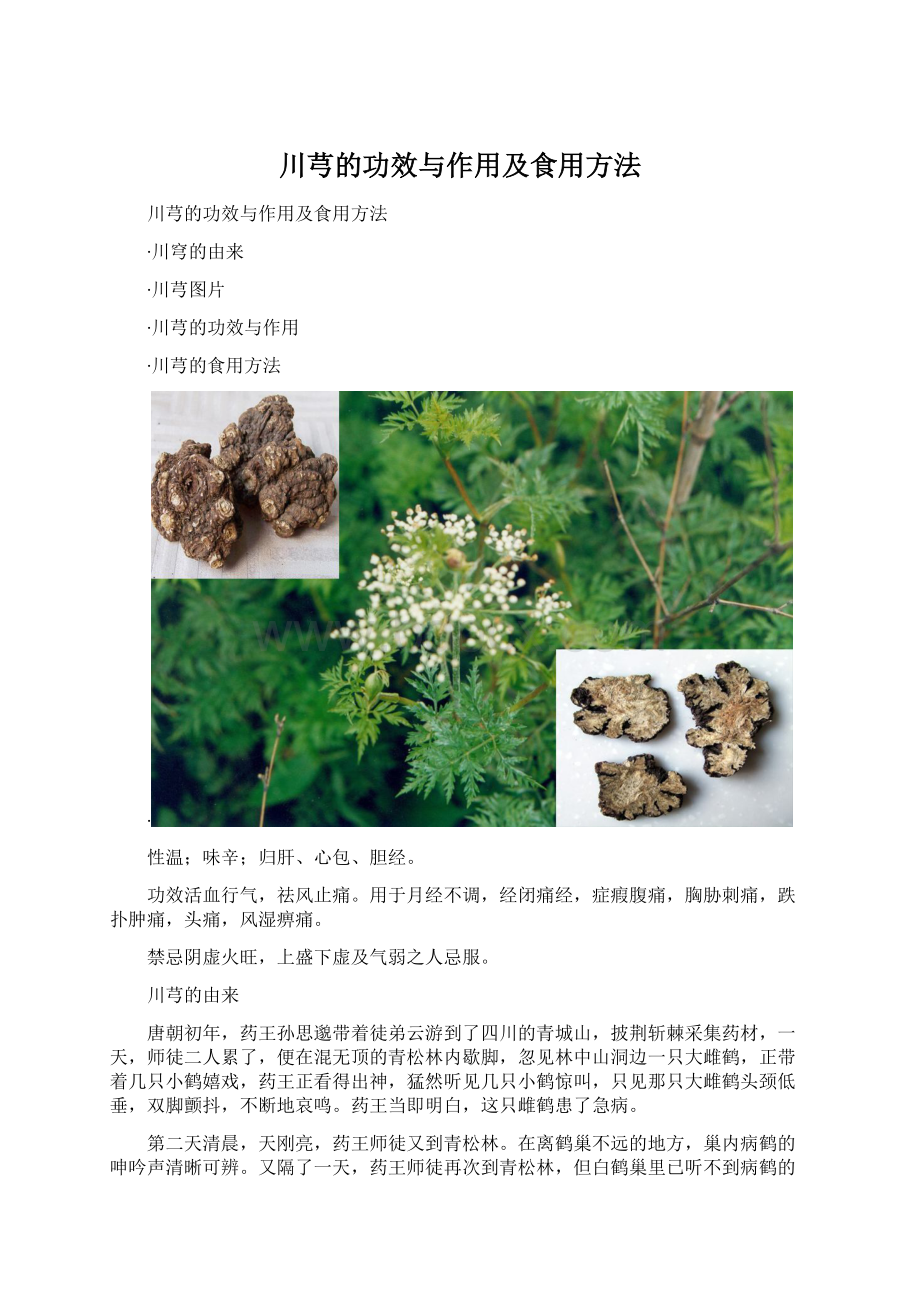 川芎的功效与作用及食用方法文档格式.docx