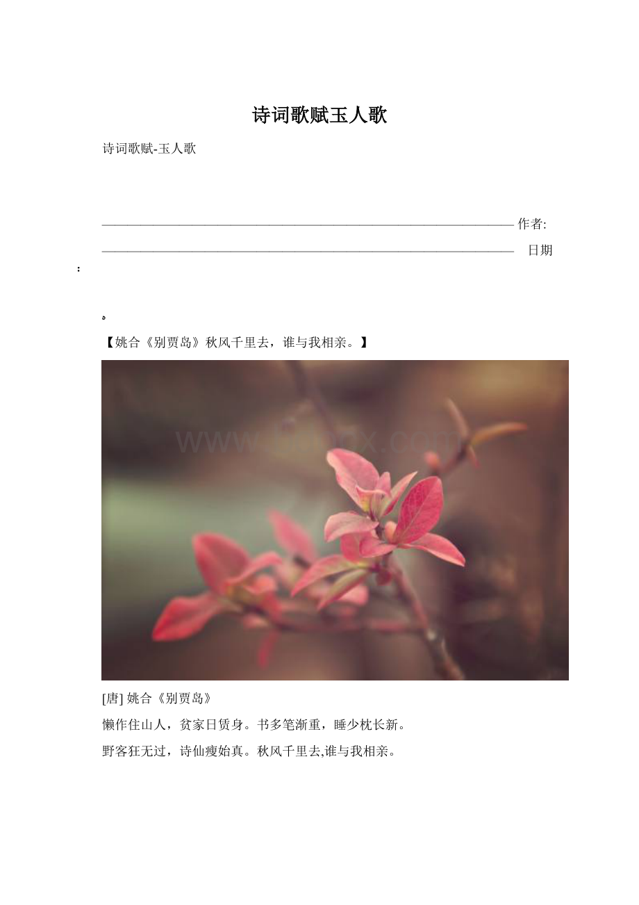 诗词歌赋玉人歌Word格式.docx