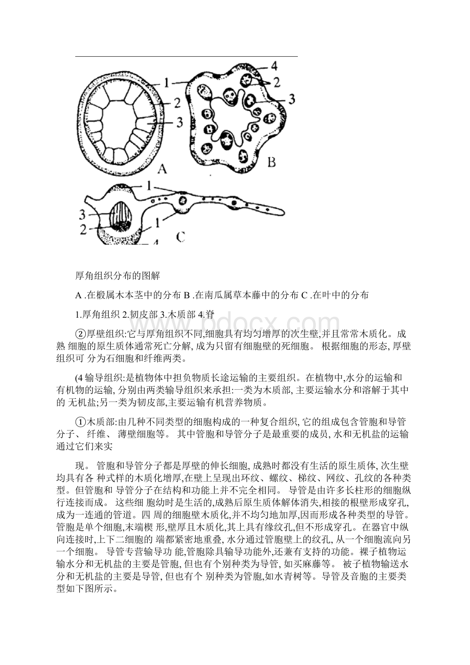 高中生物竞赛辅导讲座共11套1.docx_第3页