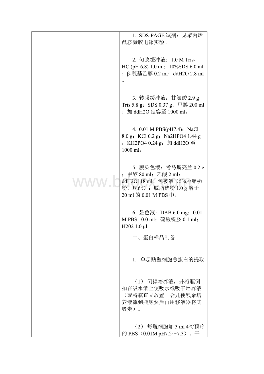 westernblot详细图解.docx_第2页