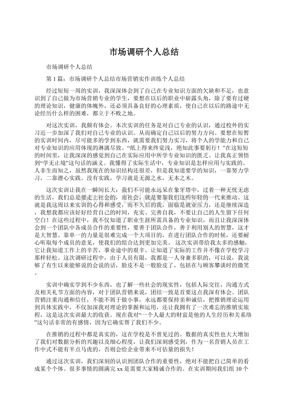 市场调研个人总结文档格式.docx