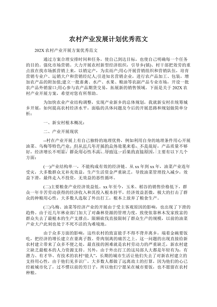 农村产业发展计划优秀范文Word文档下载推荐.docx