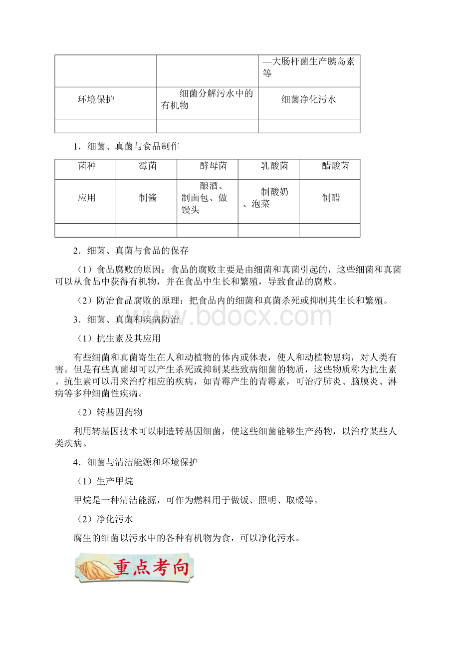 考点37 细菌和真菌在生物圈中的作用备战中考生物考点一遍过Word文档格式.docx_第2页