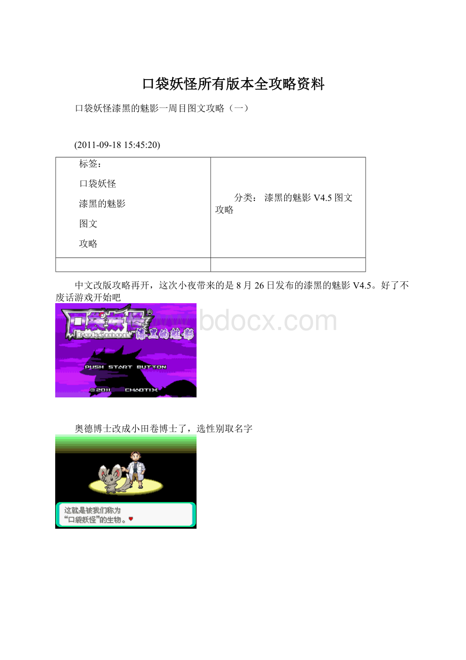 口袋妖怪所有版本全攻略资料.docx