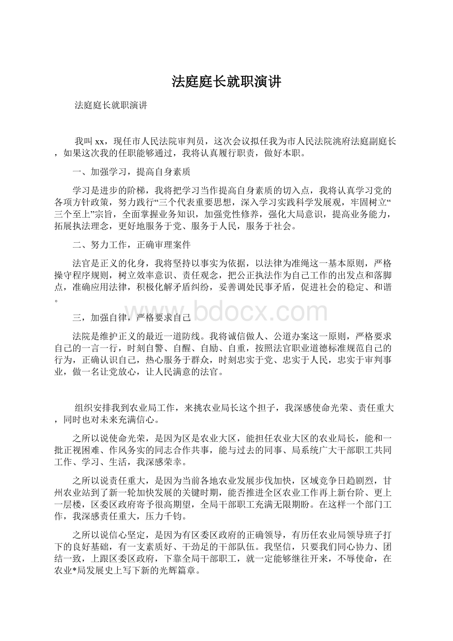 法庭庭长就职演讲Word文档格式.docx