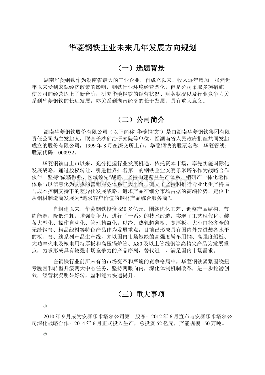 华菱钢铁主业未来几年发展方向规划.docx