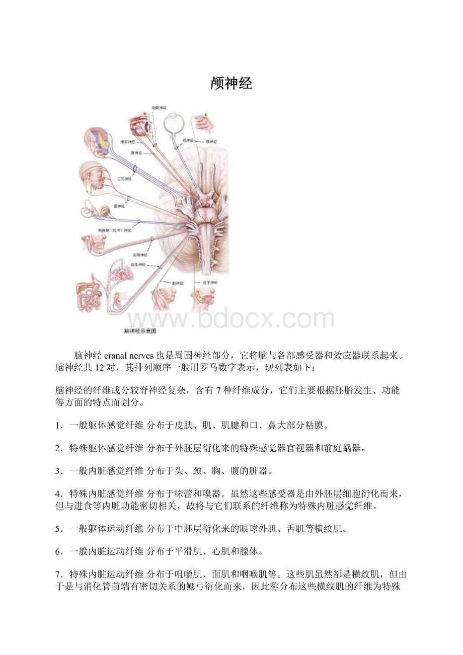 颅神经Word文档下载推荐.docx_第1页