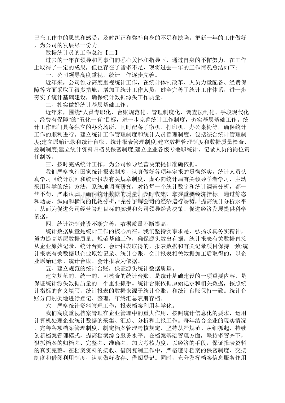 数据统计员的工作总结范文.docx_第2页