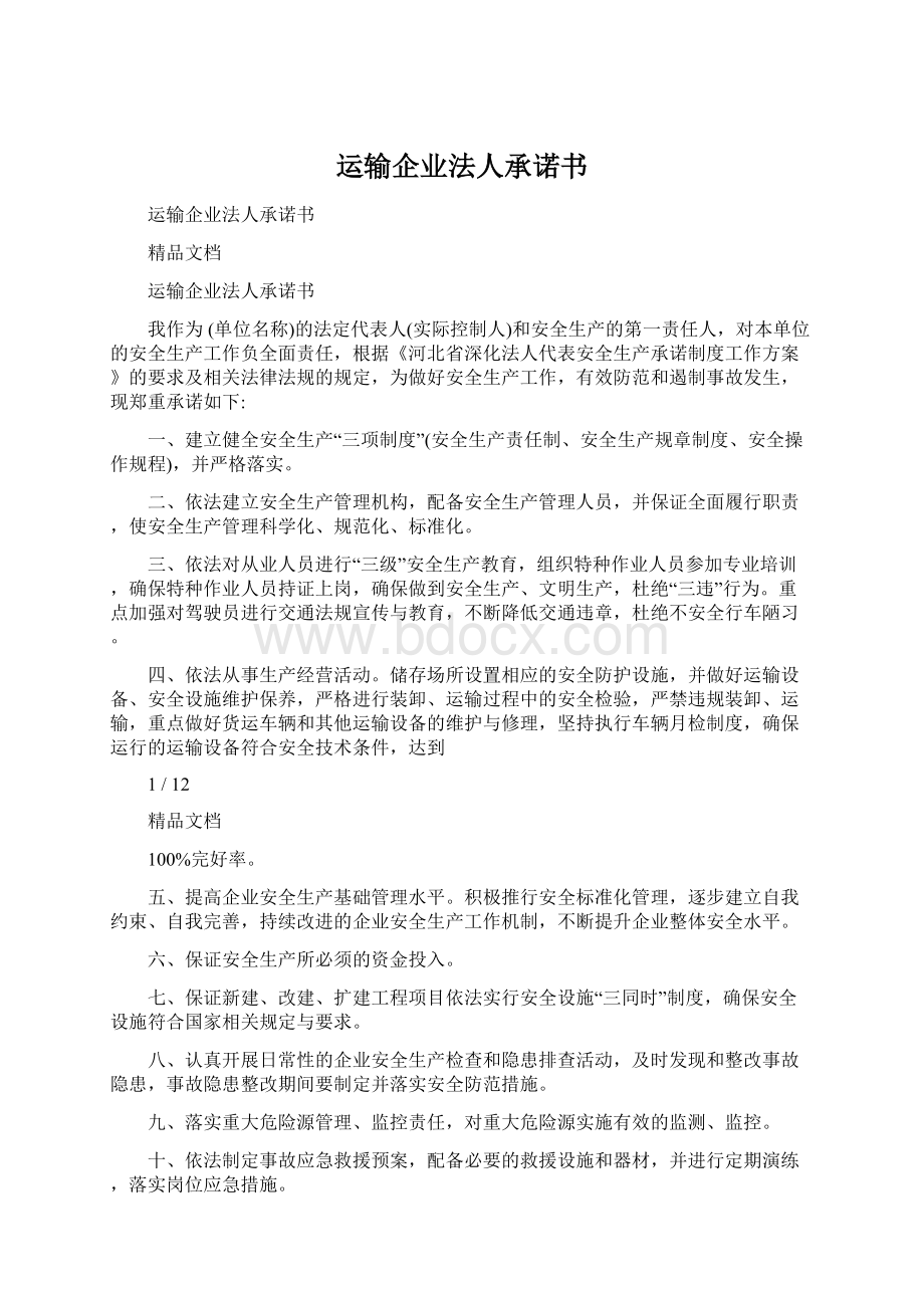 运输企业法人承诺书Word文档格式.docx