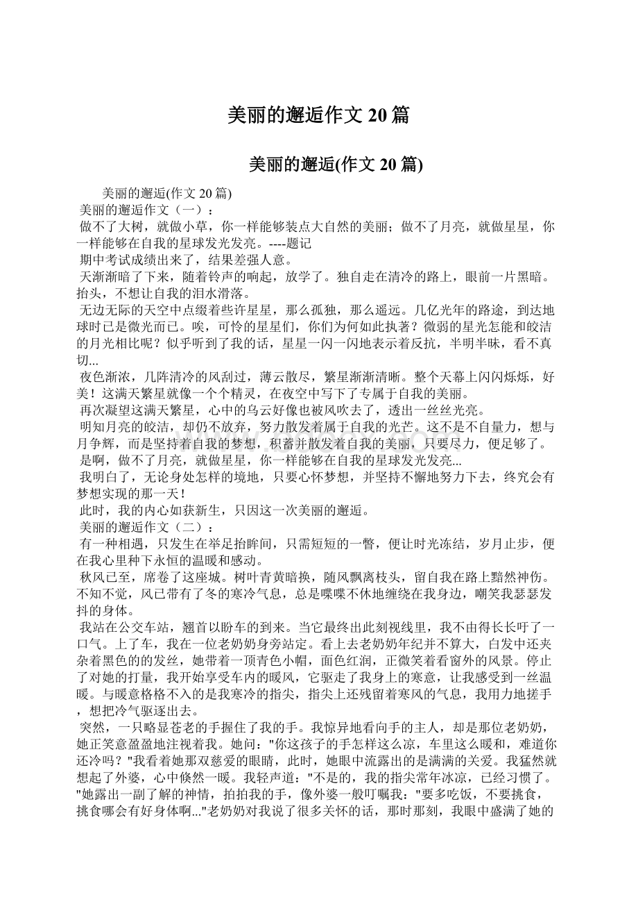 美丽的邂逅作文20篇Word文档格式.docx_第1页