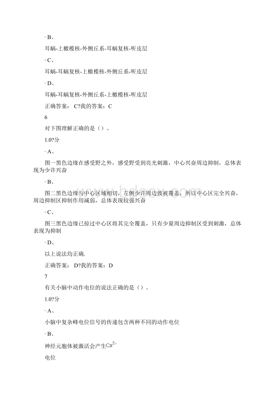 大脑的奥秘 神经科学导论Word文档格式.docx_第3页