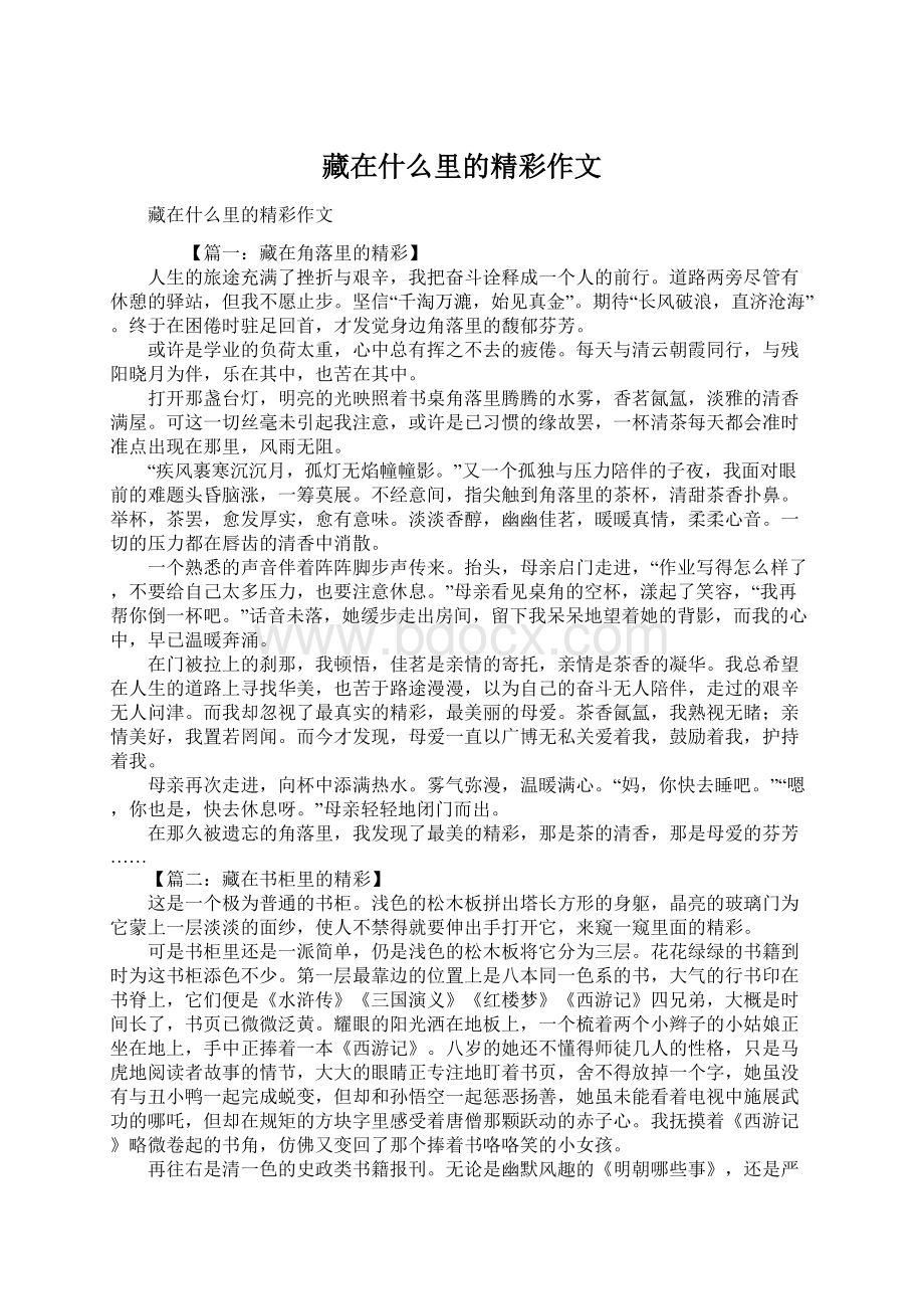 藏在什么里的精彩作文.docx_第1页