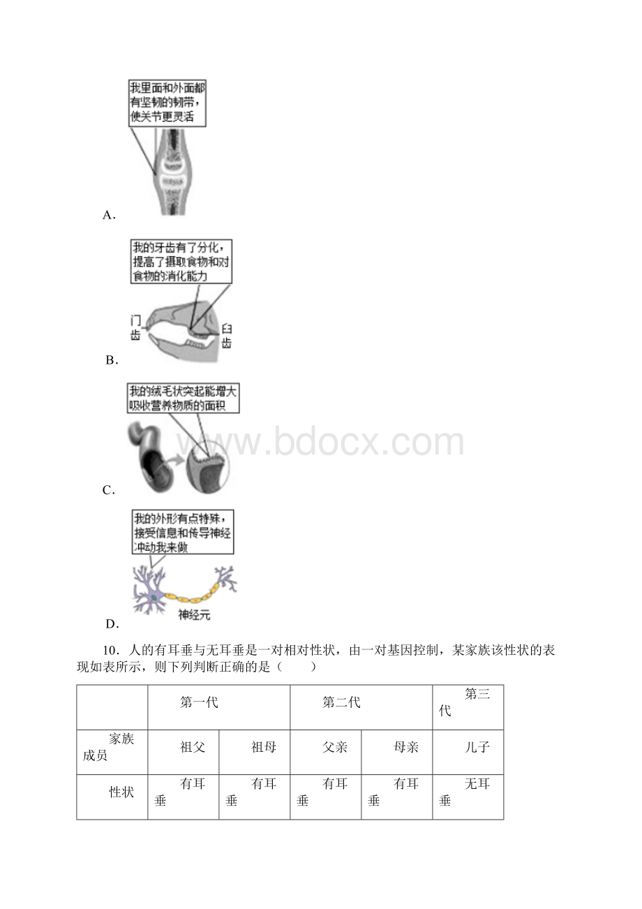 初中生物难题精选及解析.docx_第3页