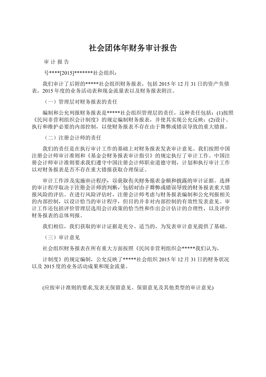 社会团体年财务审计报告Word下载.docx