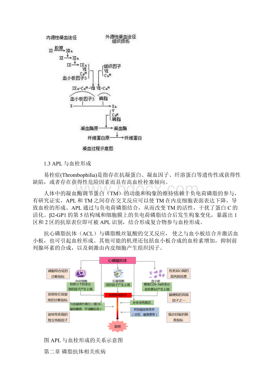 抗心磷脂抗体应用手册.docx_第3页