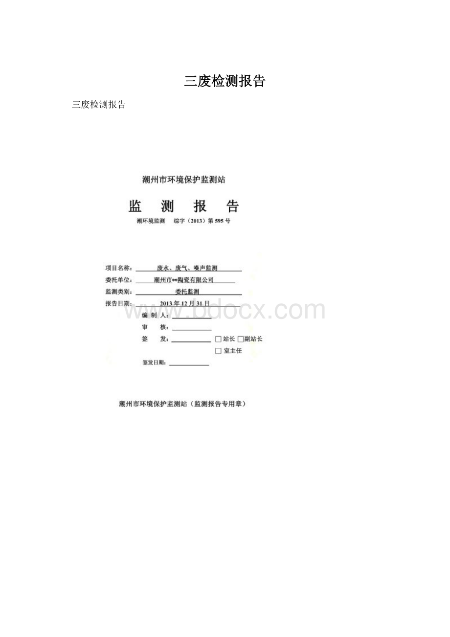 三废检测报告文档格式.docx