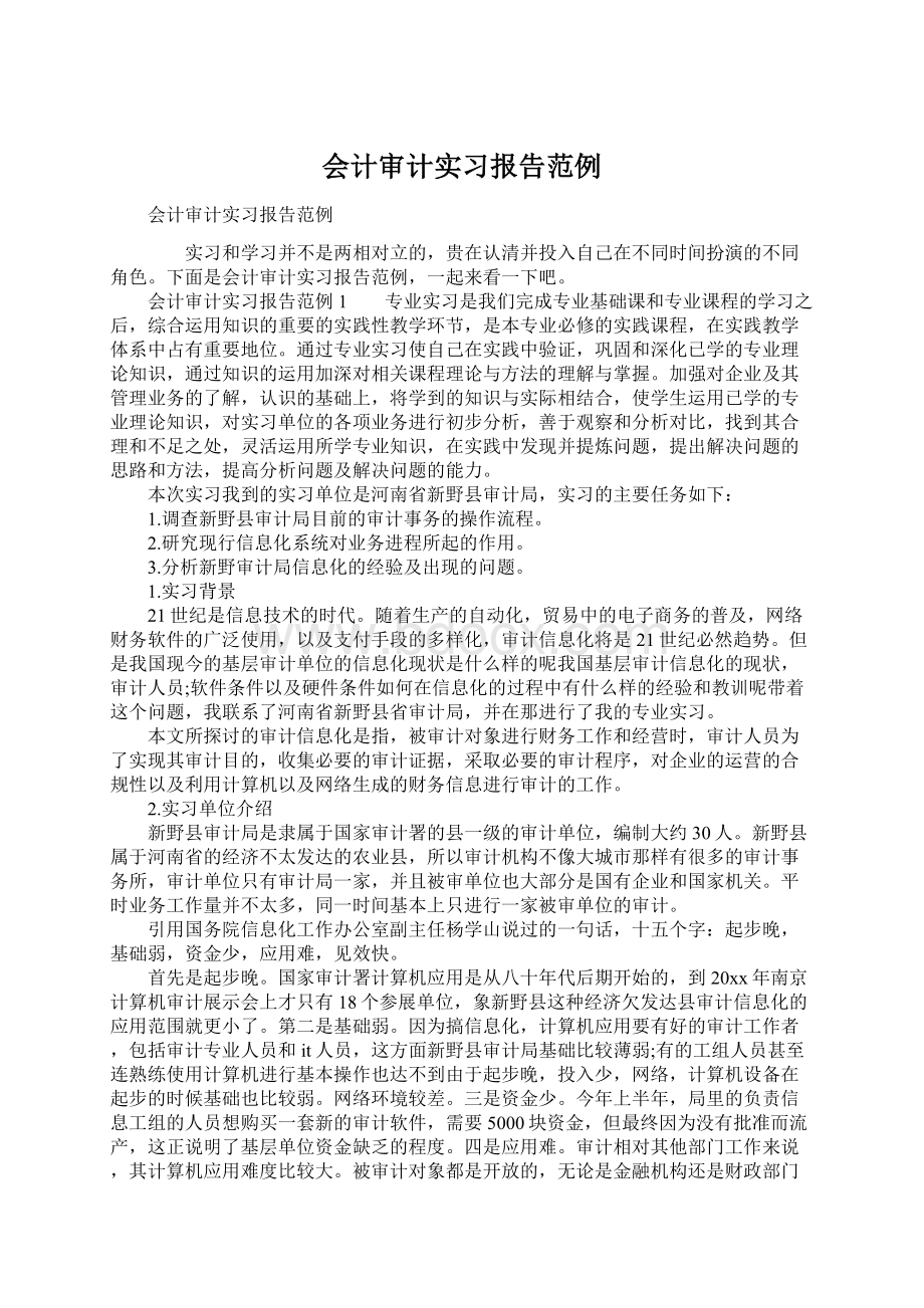 会计审计实习报告范例.docx