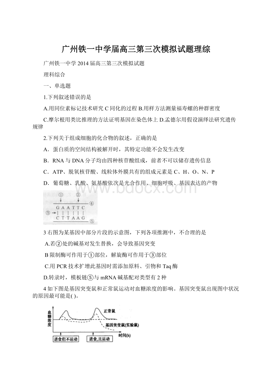 广州铁一中学届高三第三次模拟试题理综.docx_第1页