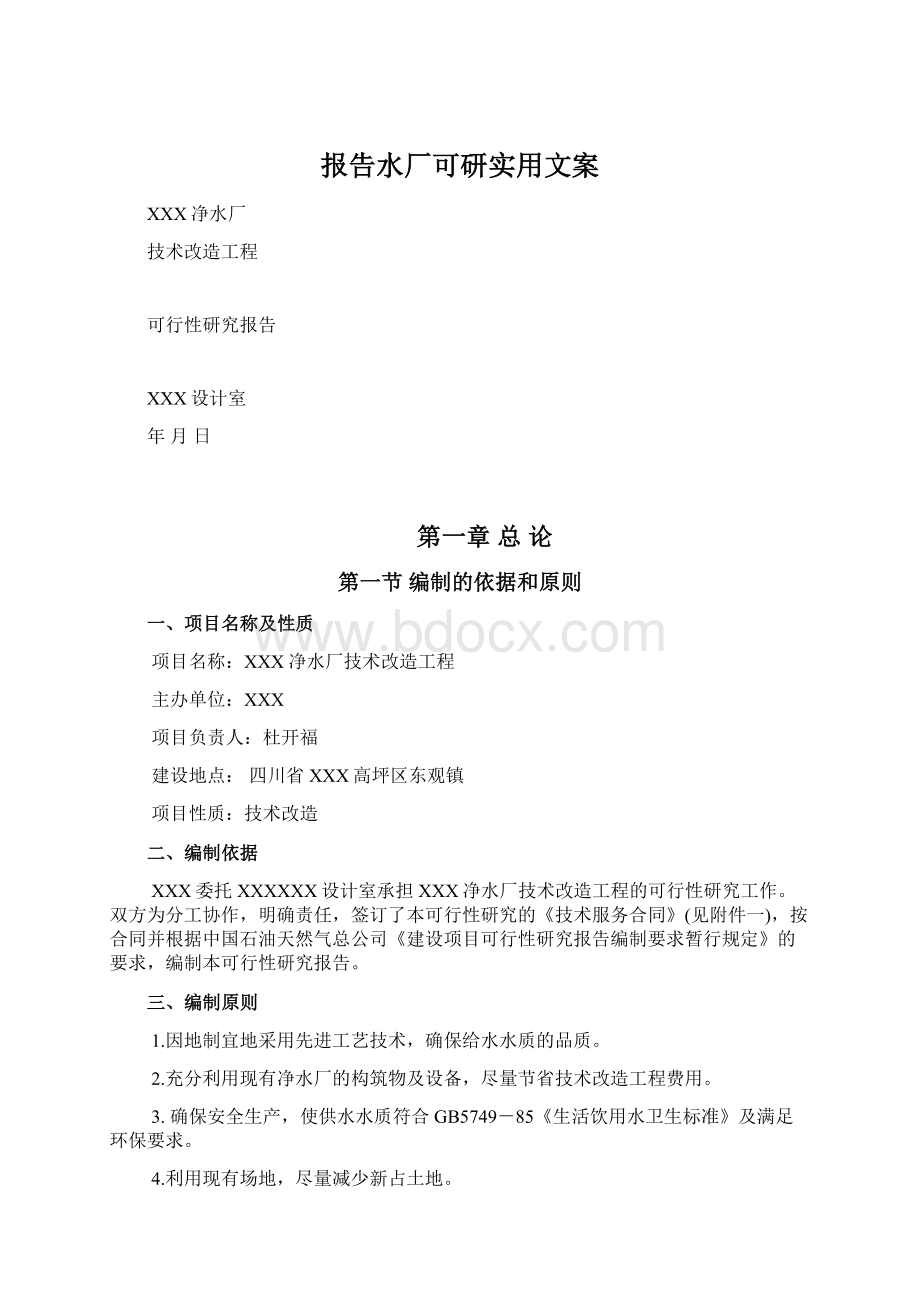 报告水厂可研实用文案.docx_第1页