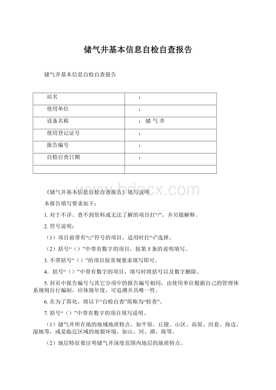 储气井基本信息自检自查报告Word格式.docx