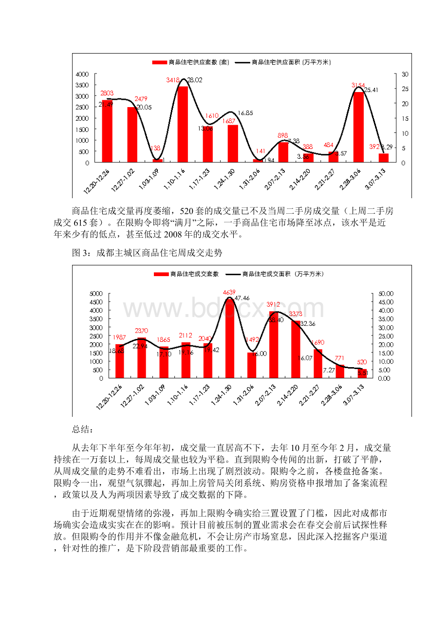 市场及竞品调研报告Word文档格式.docx_第2页