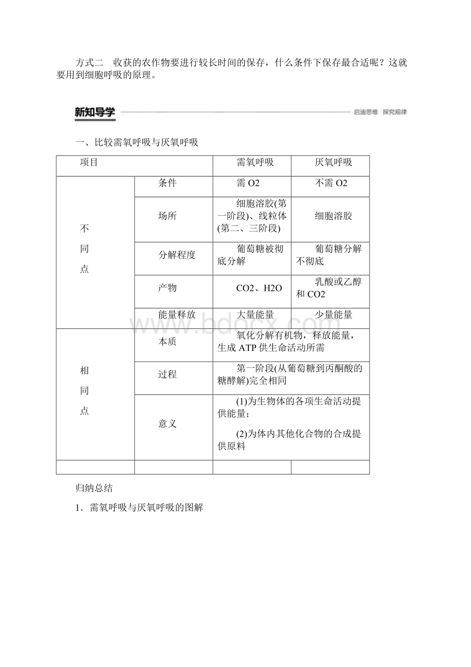 版高中生物第三章细胞的代谢第四节细胞呼吸第2课时学案浙科版必修1.docx_第2页