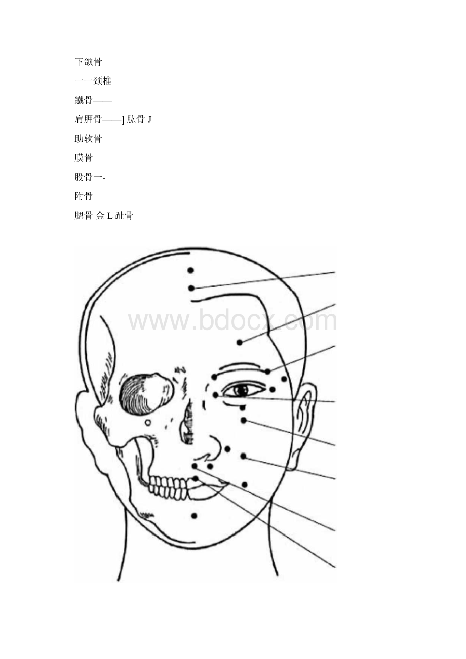 人体结构示意图0926052933.docx_第2页