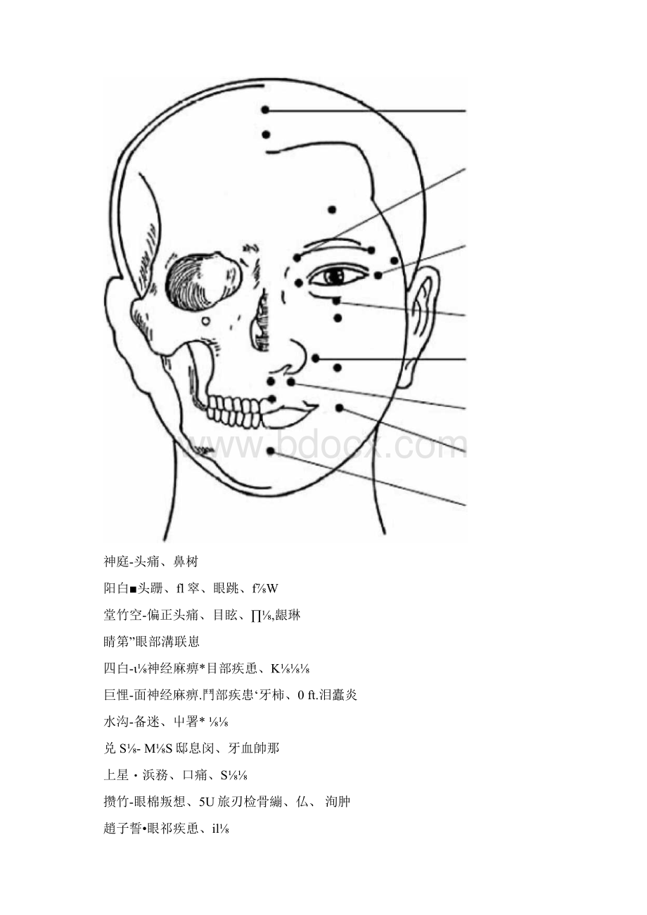 人体结构示意图0926052933.docx_第3页