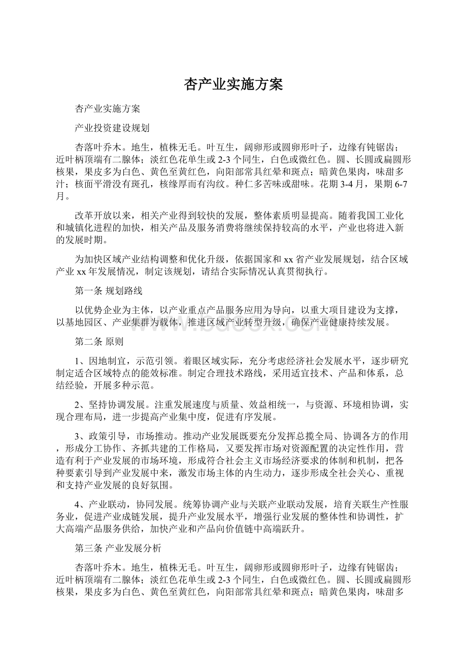 杏产业实施方案Word文档下载推荐.docx