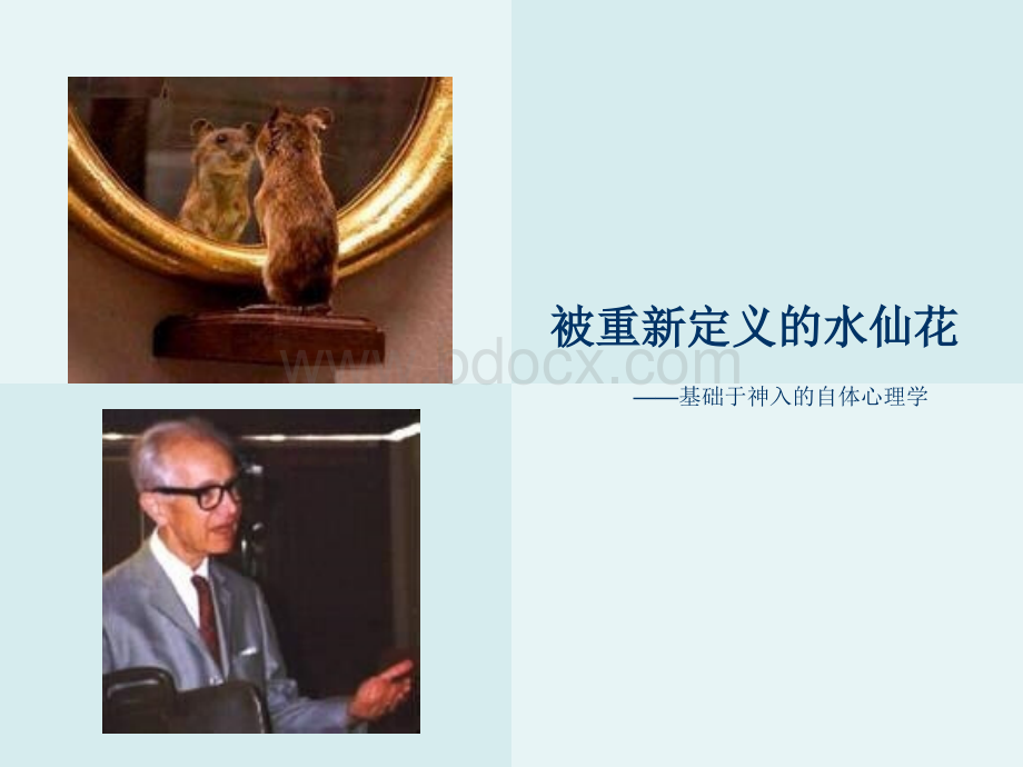 自体心理学PPT推荐.ppt_第1页