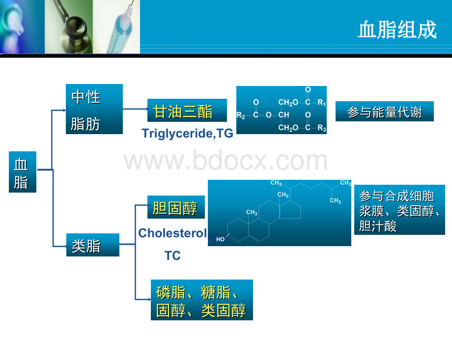 远离三高之高血脂.ppt_第2页