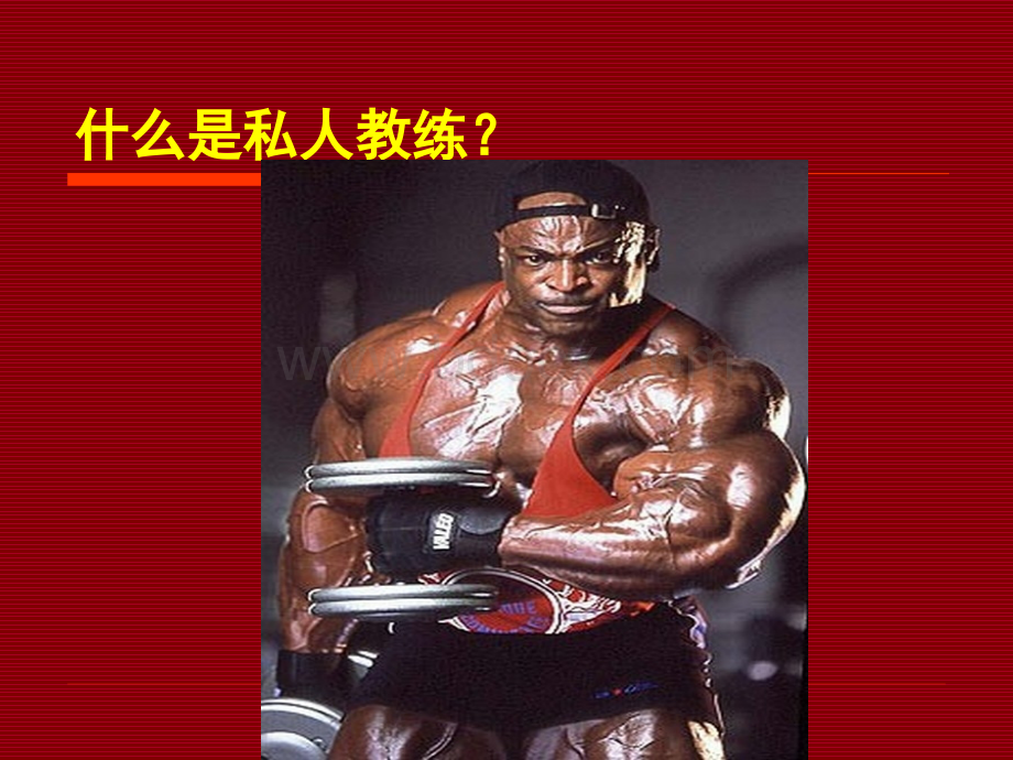 高级私人教练手册.ppt_第3页