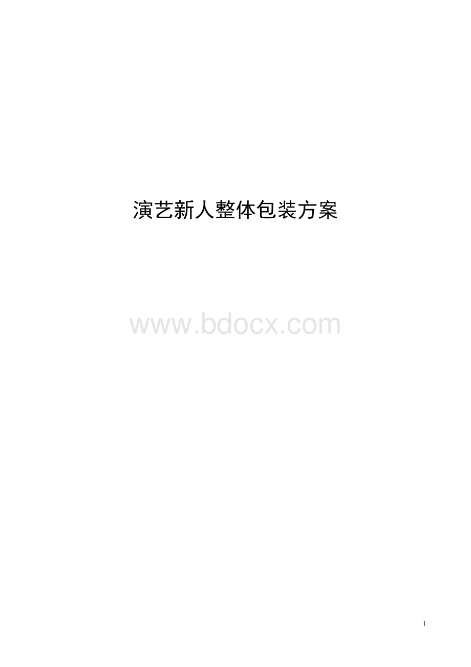 艺人整体包装策划方案(全案).doc