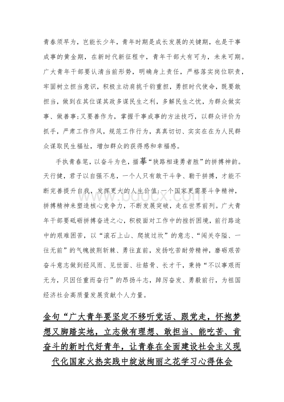 （四篇）全面学习金句“广大青年要坚定不移听党话、跟党走立志做有理想、敢担当、能吃苦、肯奋斗的新时代好青年心得体会合编文档格式.docx_第2页