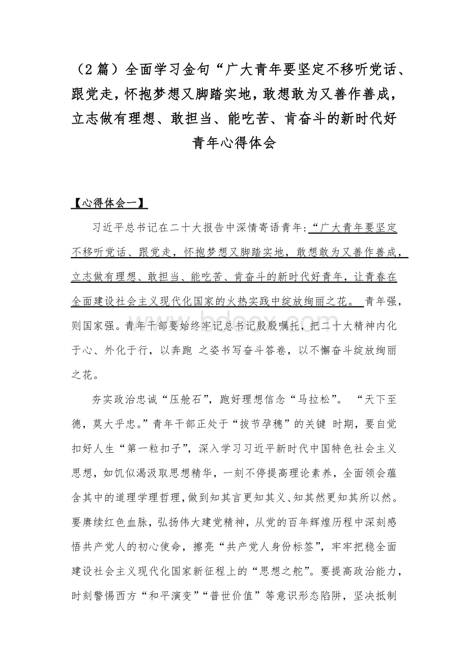 （2篇）全面学习金句“广大青年要坚定不移听党话、跟党走怀抱梦想又脚踏实地敢想敢为又善作善成立志做有理想、敢担当、能吃苦、肯奋斗的新时代好青年心得体会Word下载.docx