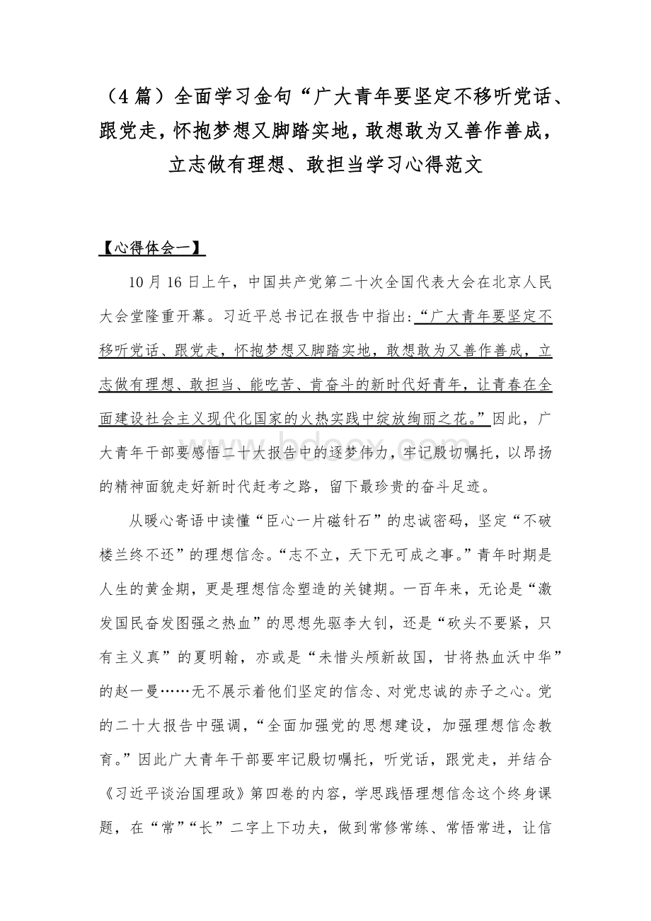 （4篇）全面学习金句“广大青年要坚定不移听党话、跟党走怀抱梦想又脚踏实地敢想敢为又善作善成立志做有理想、敢担当学习心得范文.docx