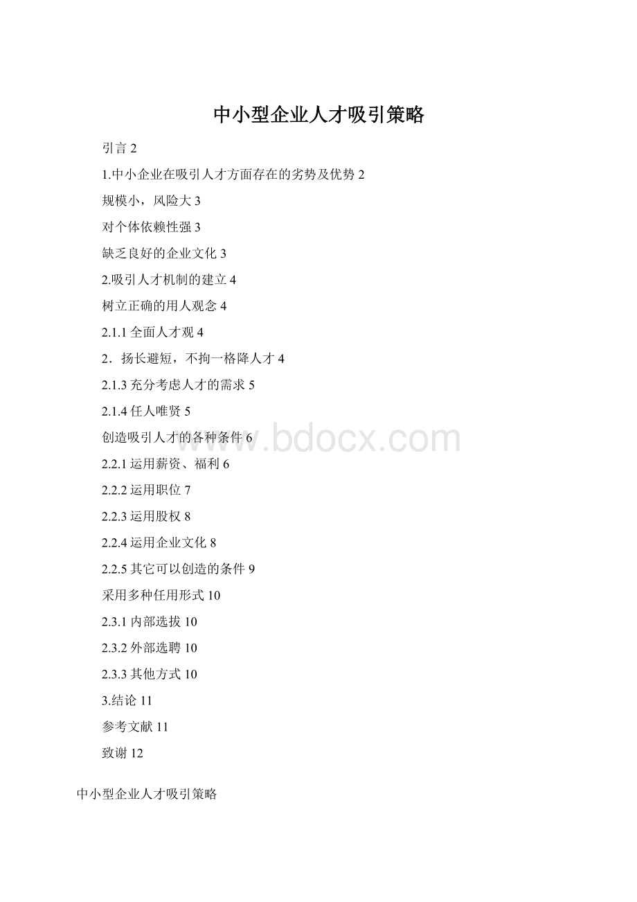 中小型企业人才吸引策略Word格式文档下载.docx