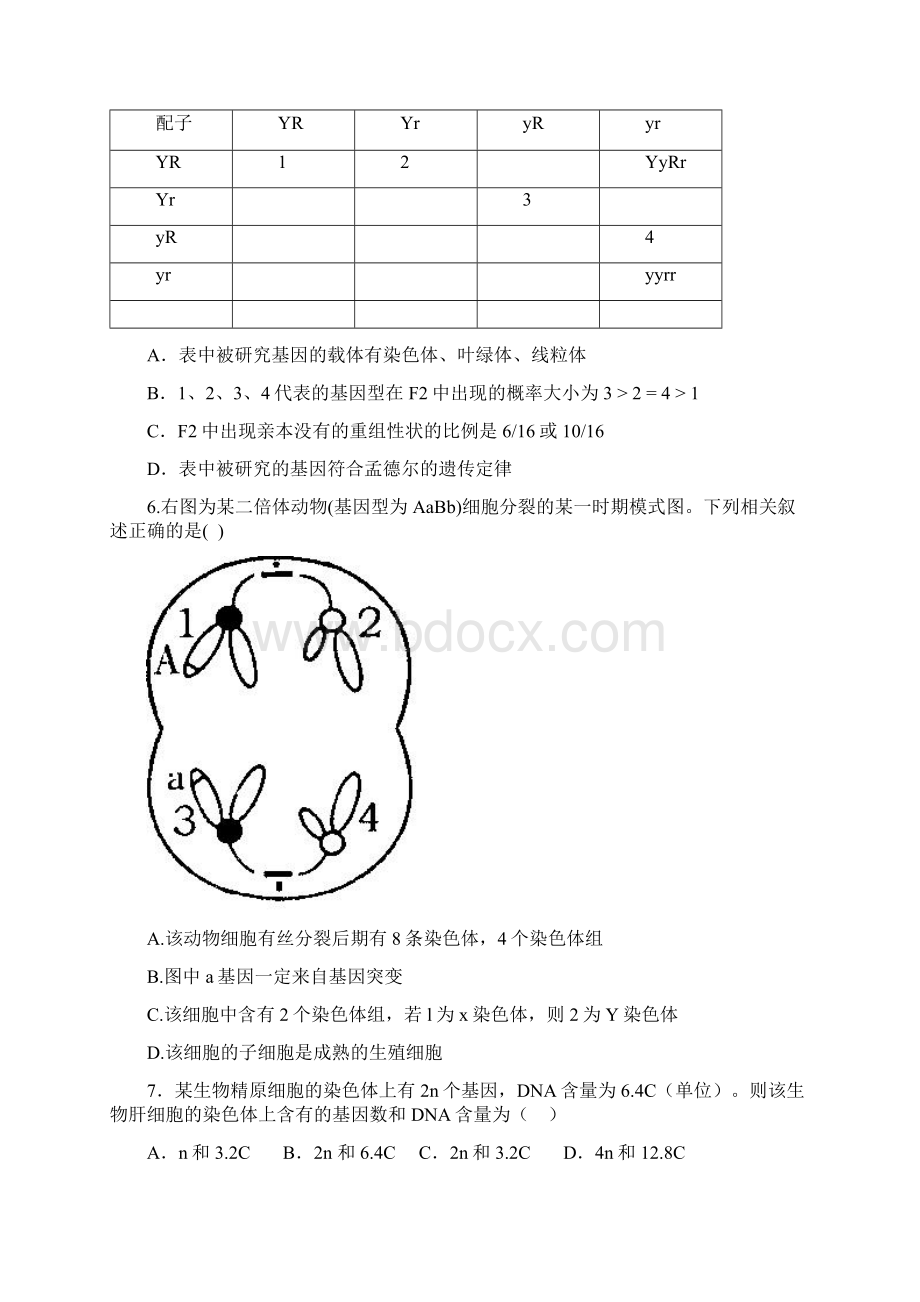 高中生物必修二试题及答案.docx_第2页