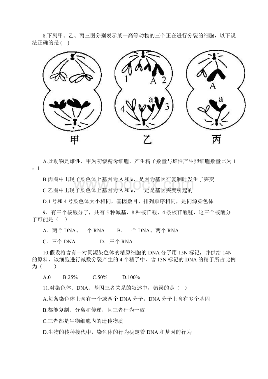 高中生物必修二试题及答案.docx_第3页