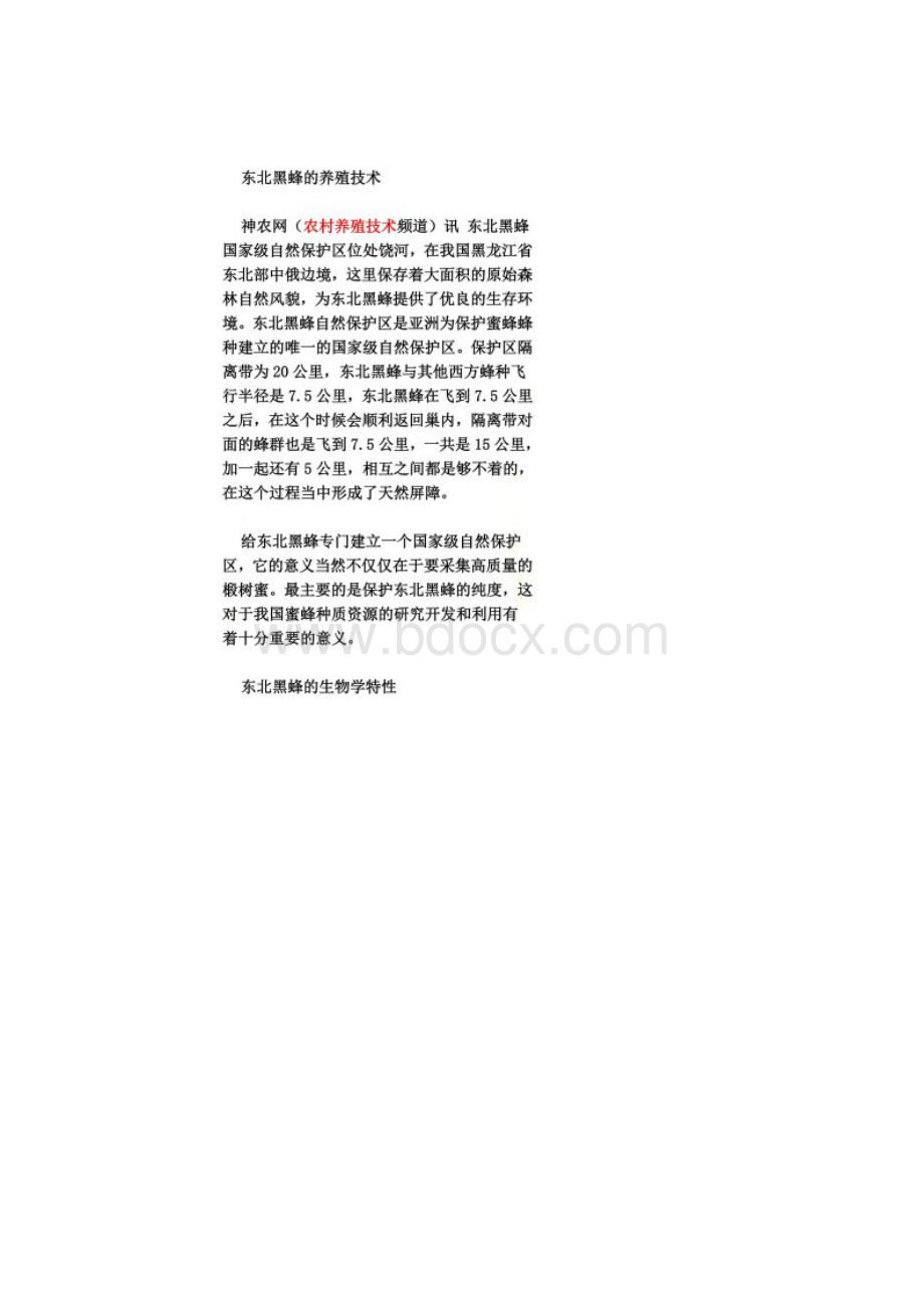 东北黑蜂的养殖技术Word格式文档下载.docx_第2页