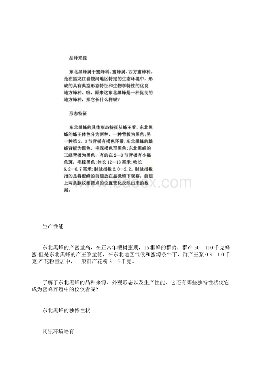 东北黑蜂的养殖技术Word格式文档下载.docx_第3页