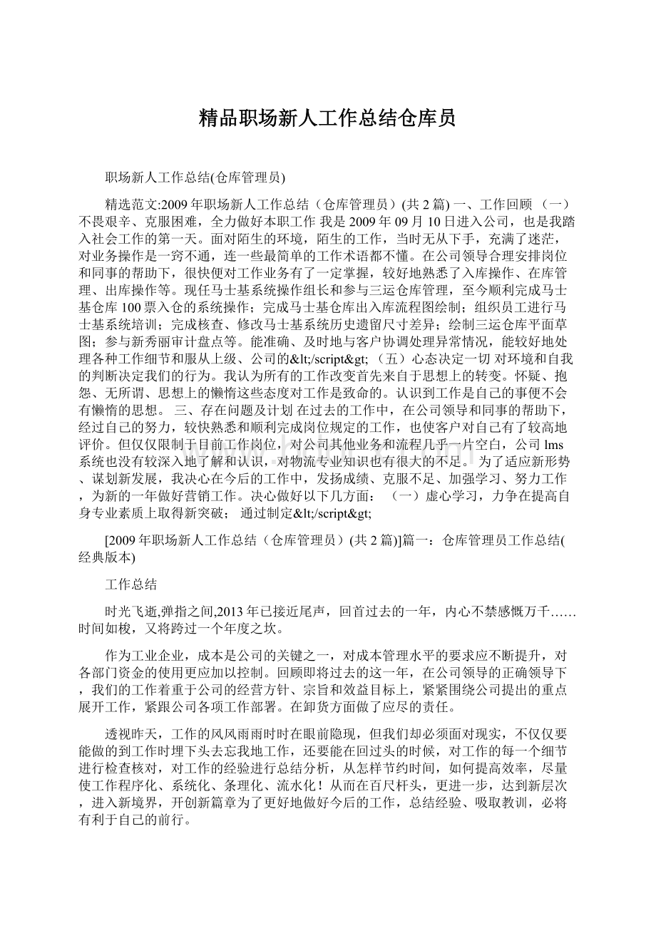 精品职场新人工作总结仓库员Word格式文档下载.docx